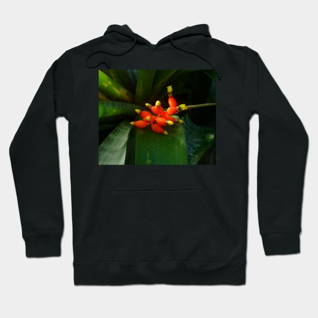 This red and yellow flower brings joy! Hoodie by HFGJewels